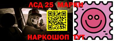 МДПВ Новозыбков