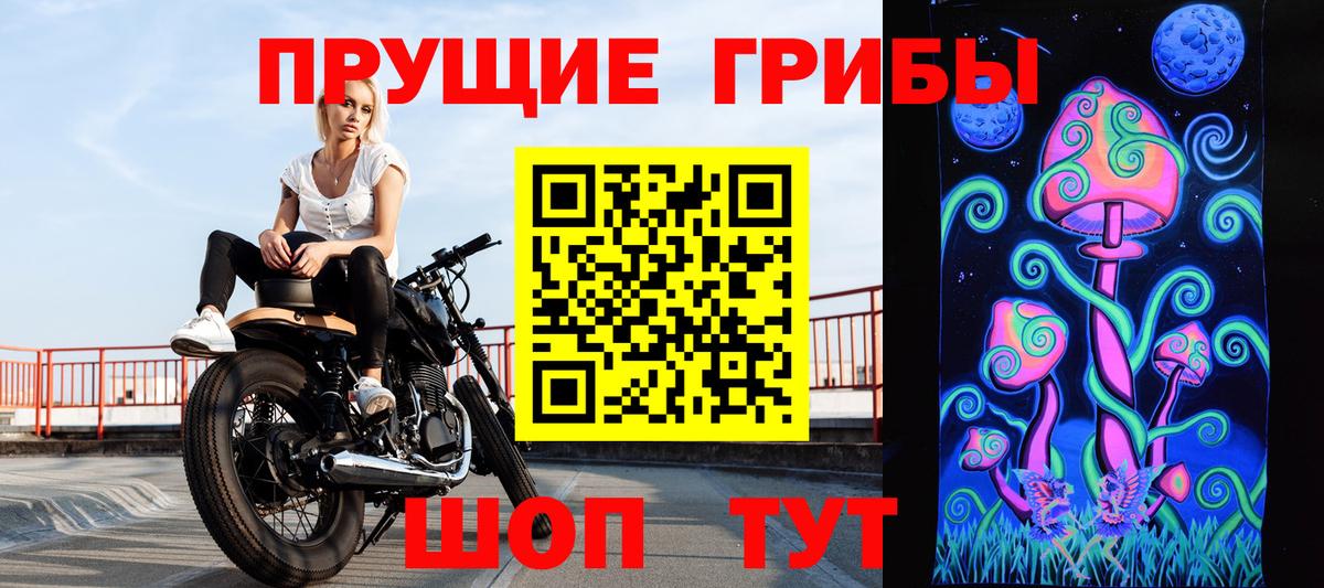 Севастополь  закладки  Вход с VPN  Псилоцибиновые грибы ЛСД 